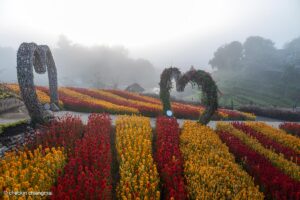 สวนร้อยใจรักษ์ อำเภอแม่อาย กับแสงอรุณยามเช้า