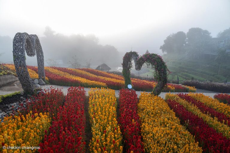 สวนร้อยใจรักษ์ อำเภอแม่อาย กับแสงอรุณยามเช้า