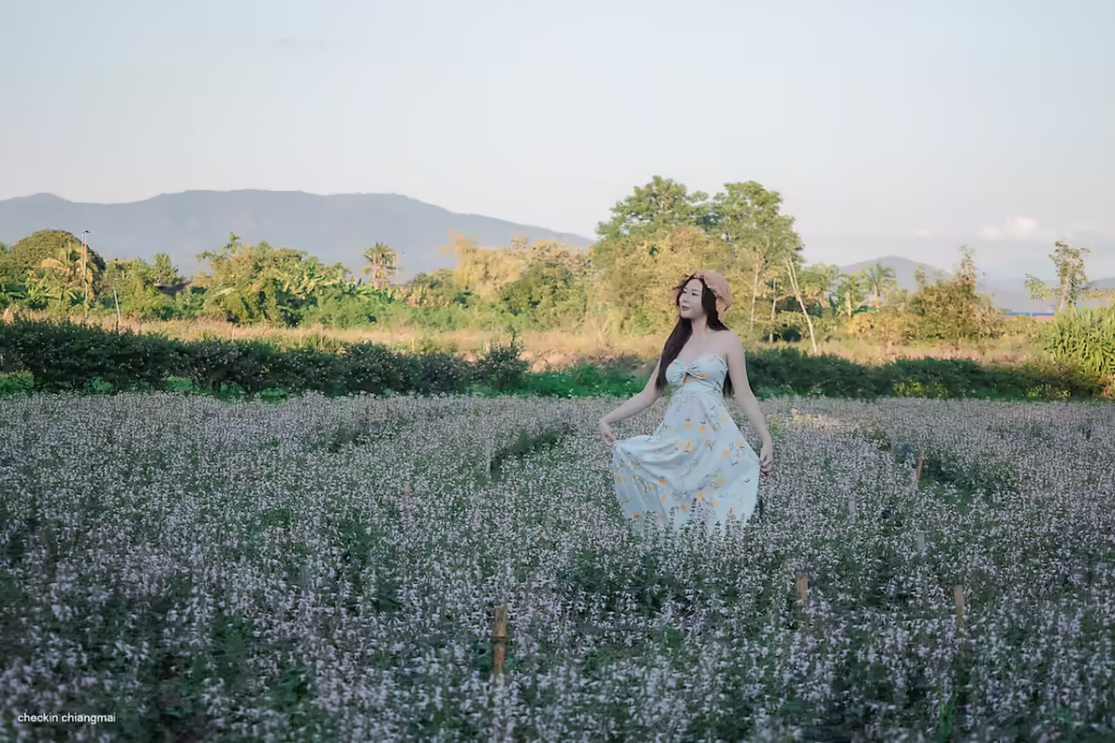 ช่วงเย็นแสงจะสวย