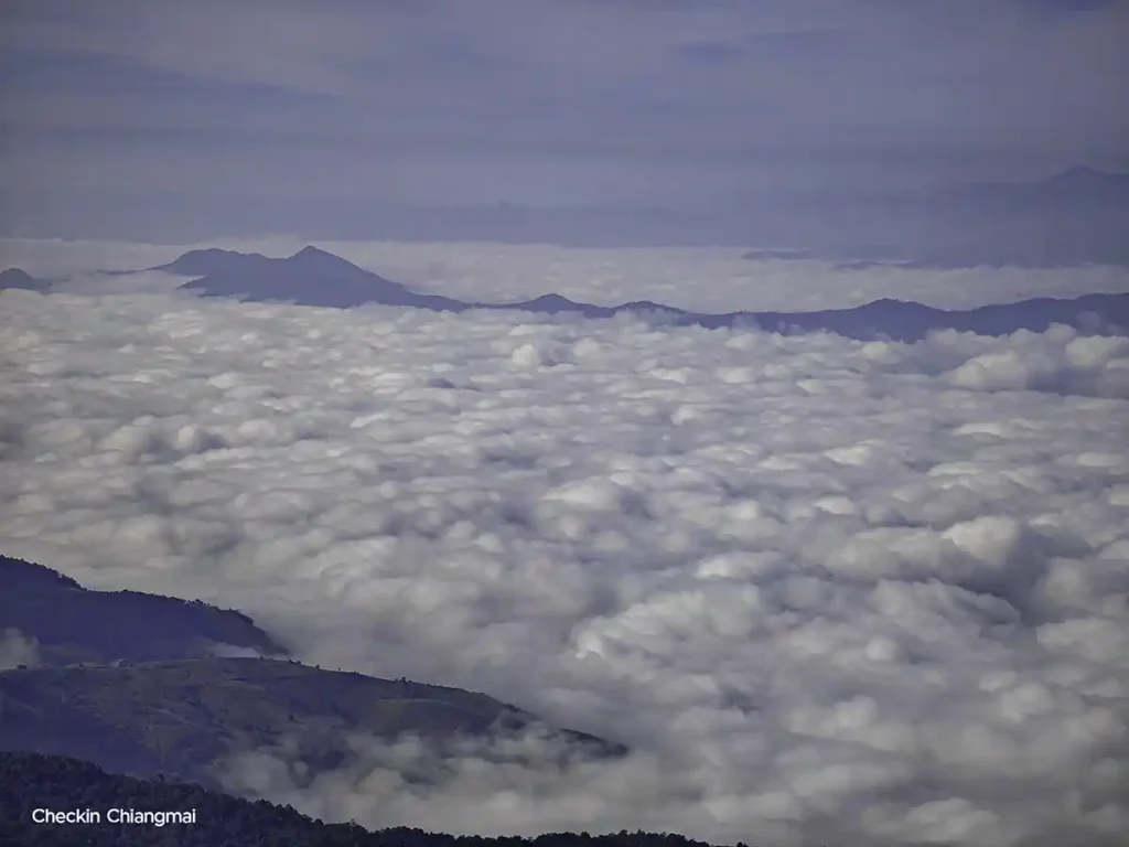 ทะเลหมอก