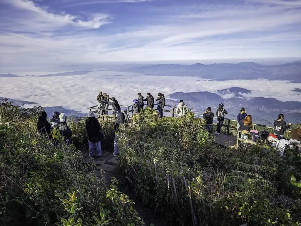 มุมมหาชนที่มองเห็นทะเลหมอกได้ชัดเจน