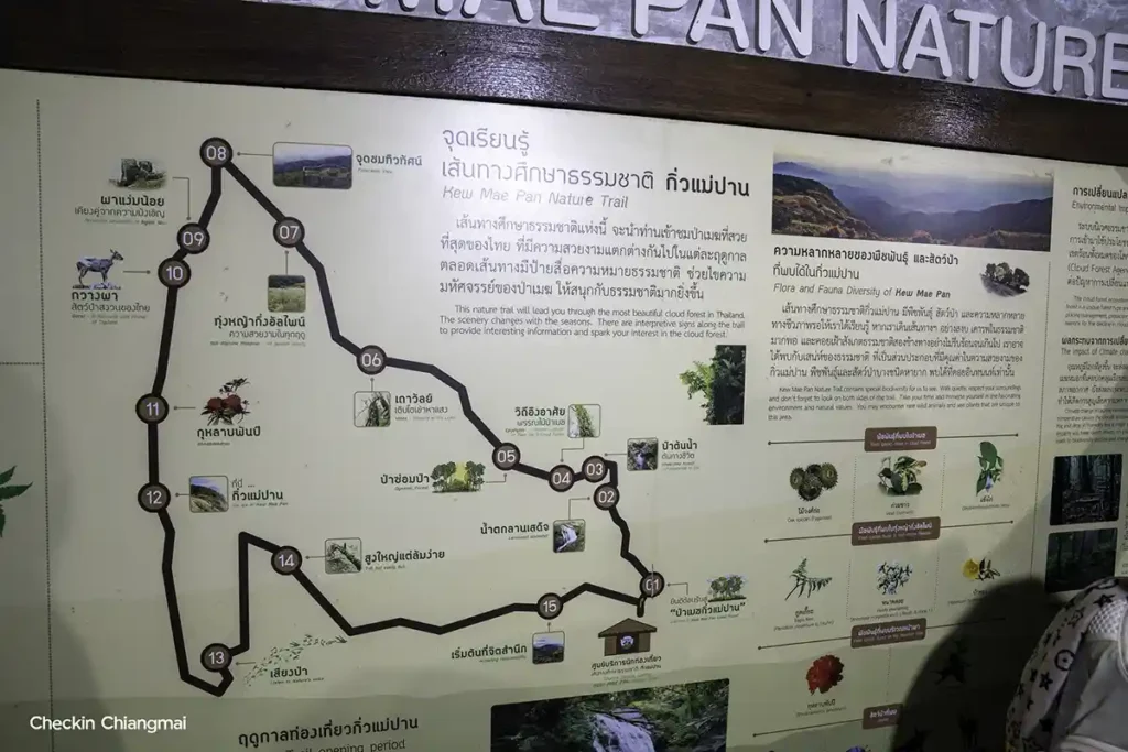 เส้นทางเดินของกิ่วแม่ปาน