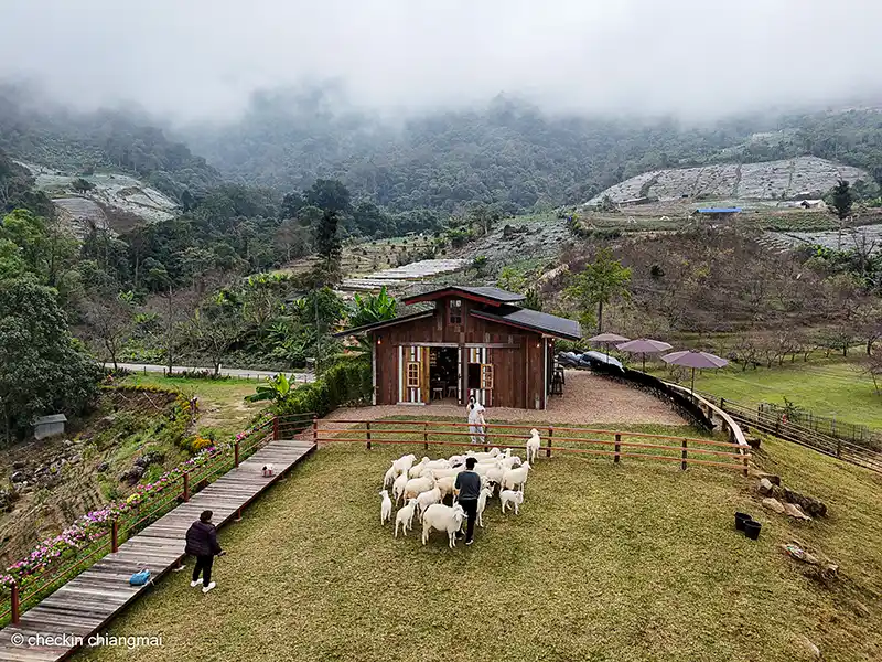 ม่อนแกะอินทนนท์ ตั้งอยู่บนเนินเขา