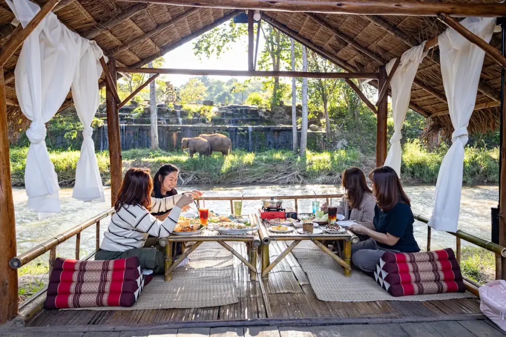 review-kerchor-river-cafe-mae-wang-กินอาหารดูช้างข้างริมน้ำ
