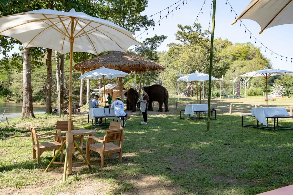 review-kerchor-river-cafe-mae-wang-นั่งกินอาหารดูช้างอย่างใกล้ชิด