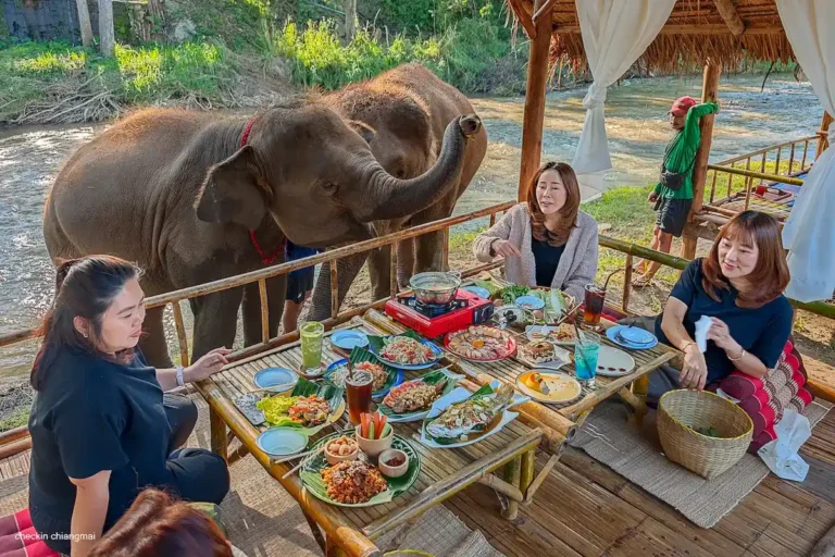 review-kerchor-river-cafe-mae-wang-ร้านอาหารที่มีช้างมาเดินอย่างใกล้ชิด