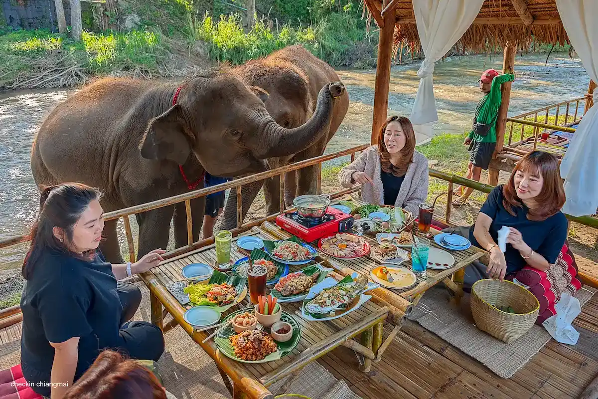 review-kerchor-river-cafe-mae-wang-ร้านอาหารที่มีช้างมาเดินอย่างใกล้ชิด