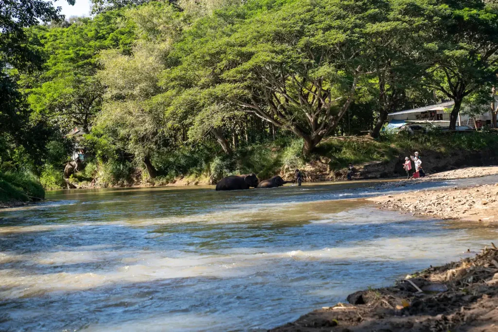 review-kerchor-river-cafe-mae-wang-ลงไปเล่นน้ำได้