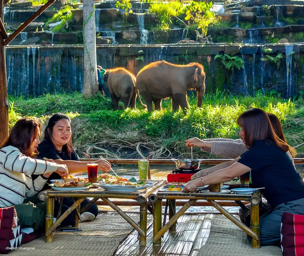 review-kerchor-river-cafe-mae-wang-เห็นช้างได้อย่างชัดเจน
