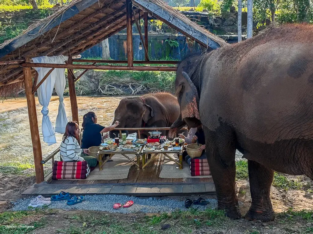 review-kerchor-river-cafe-mae-wang-แม่ช้างก็มา