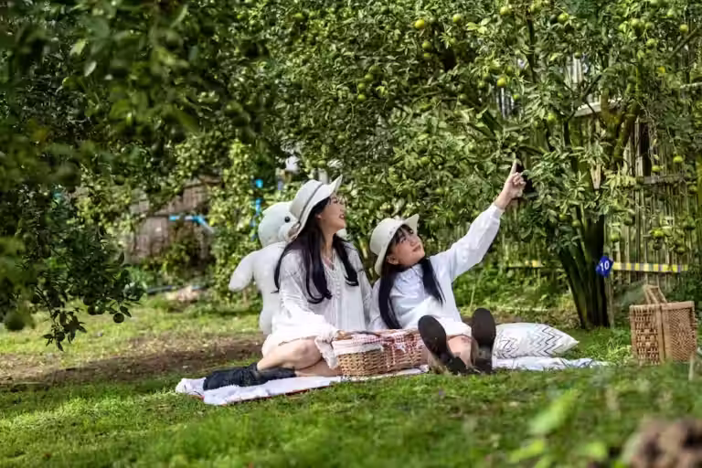 บรรยากาศภายในสวนส้ม-สวนของฉัน