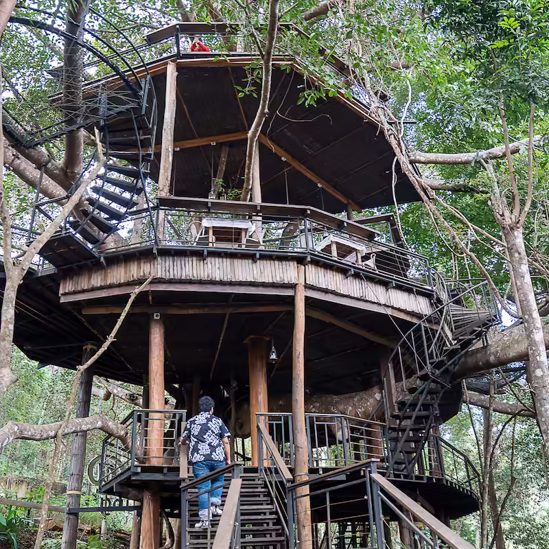 คาเฟ่บนต้นไม้มีหลายโซนให้เลือกนั่ง