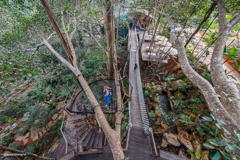 tree top cafe ร้านอาหารและกาแฟบนต้นไม้สูง